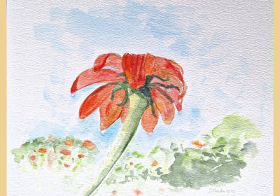 bloem_ochtenddauw-400x280