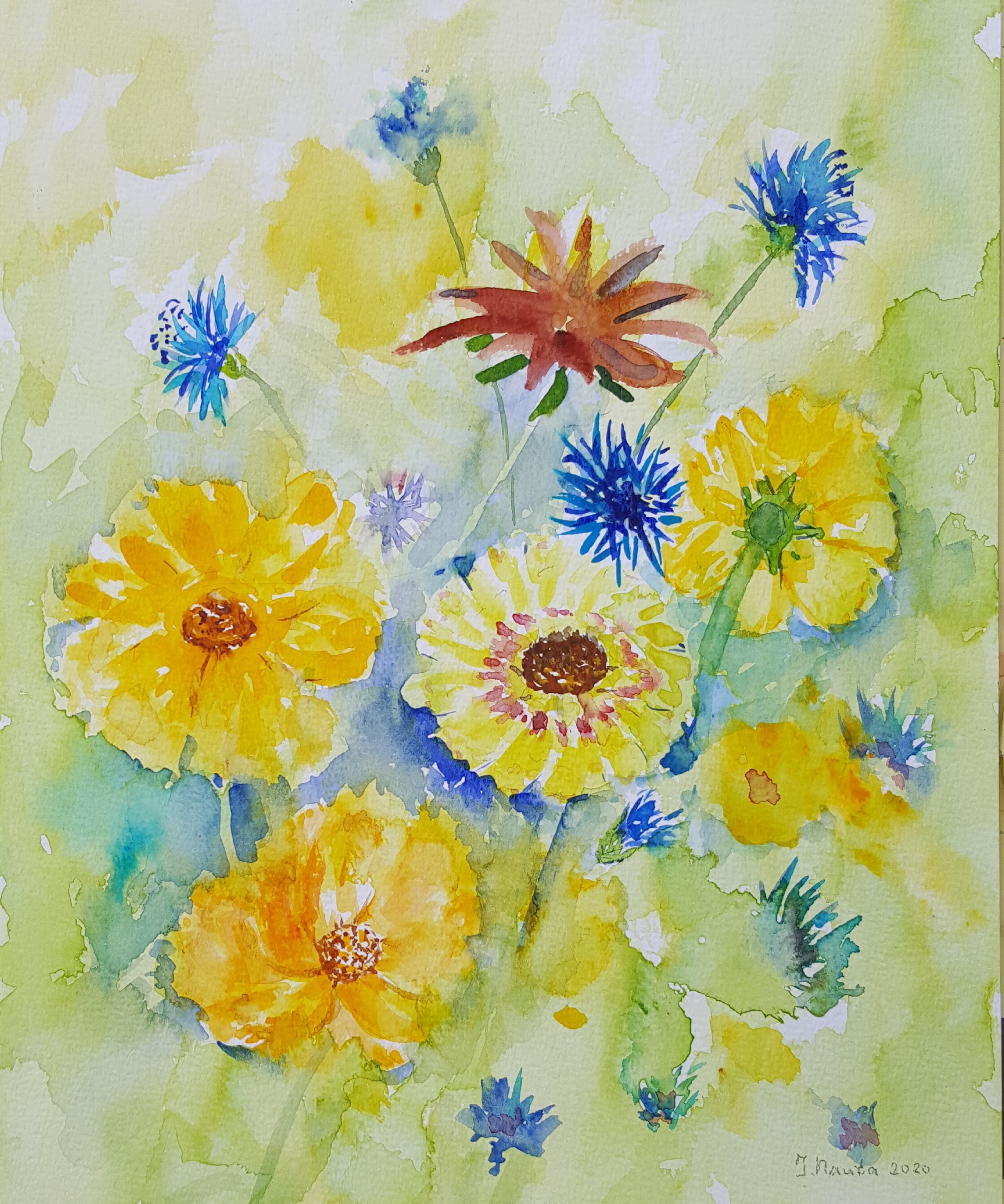 Aquarel Workshop 2020
